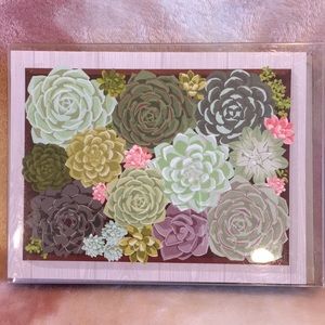 Colorful Succulents Cactus Note Card Set of 10 Paper Source NWT 6” X 4.50”